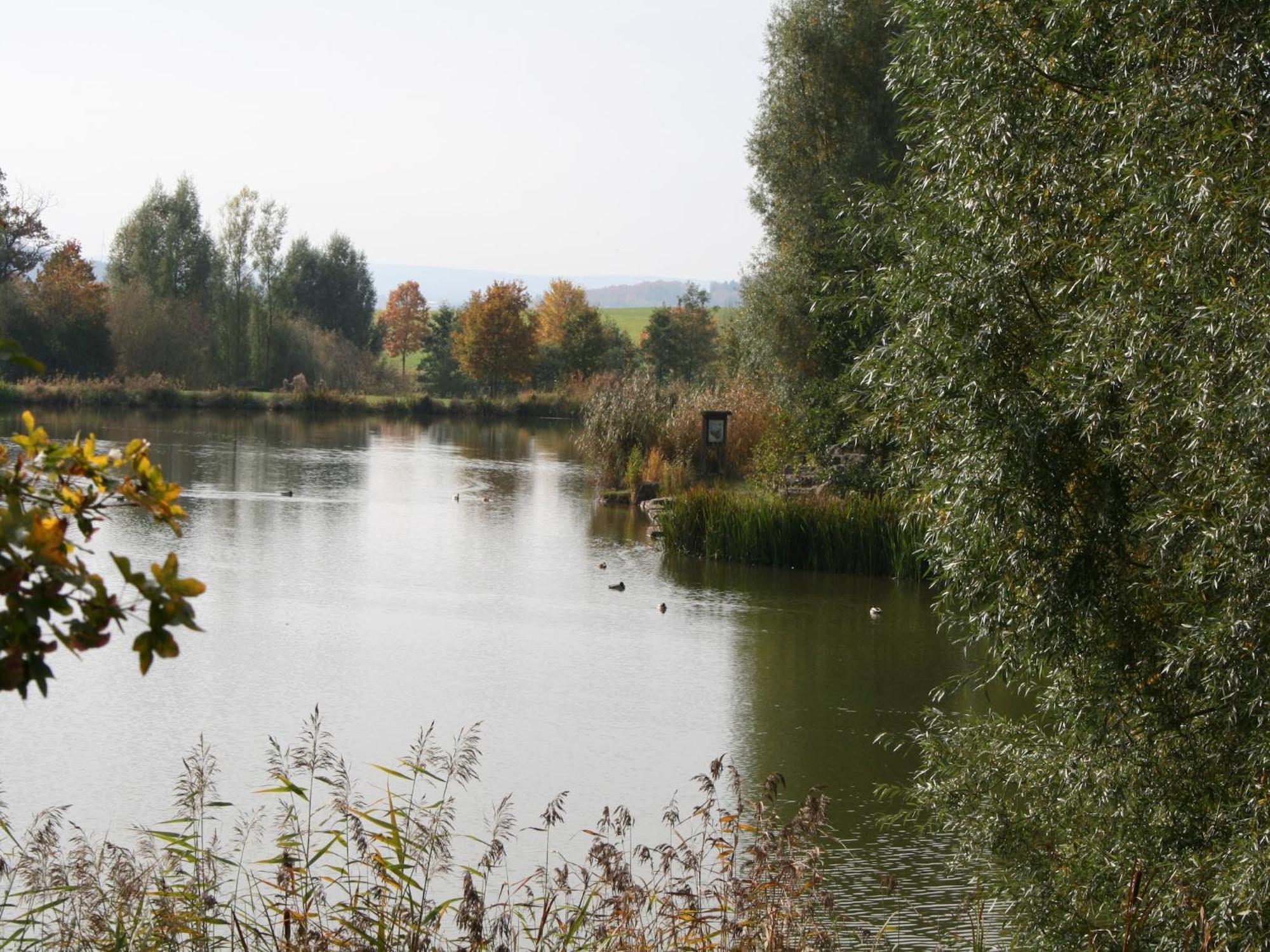 Near The Nurburgring With Terrace *